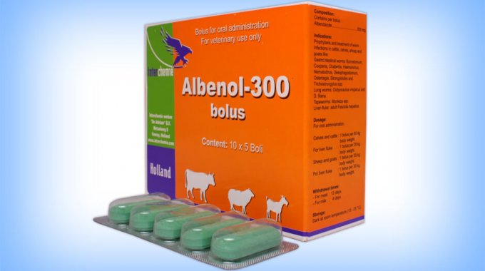 ALBENOL-300 BOLUS